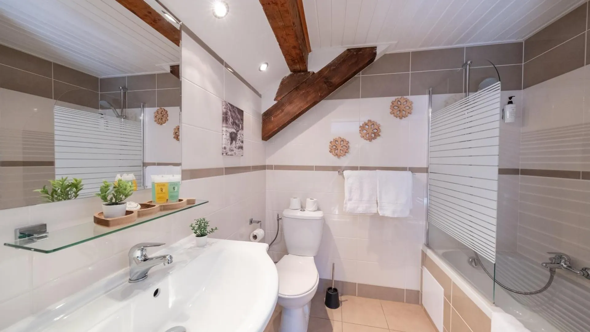 Chalet Hotel La Sapiniere Σαμονί 3*,