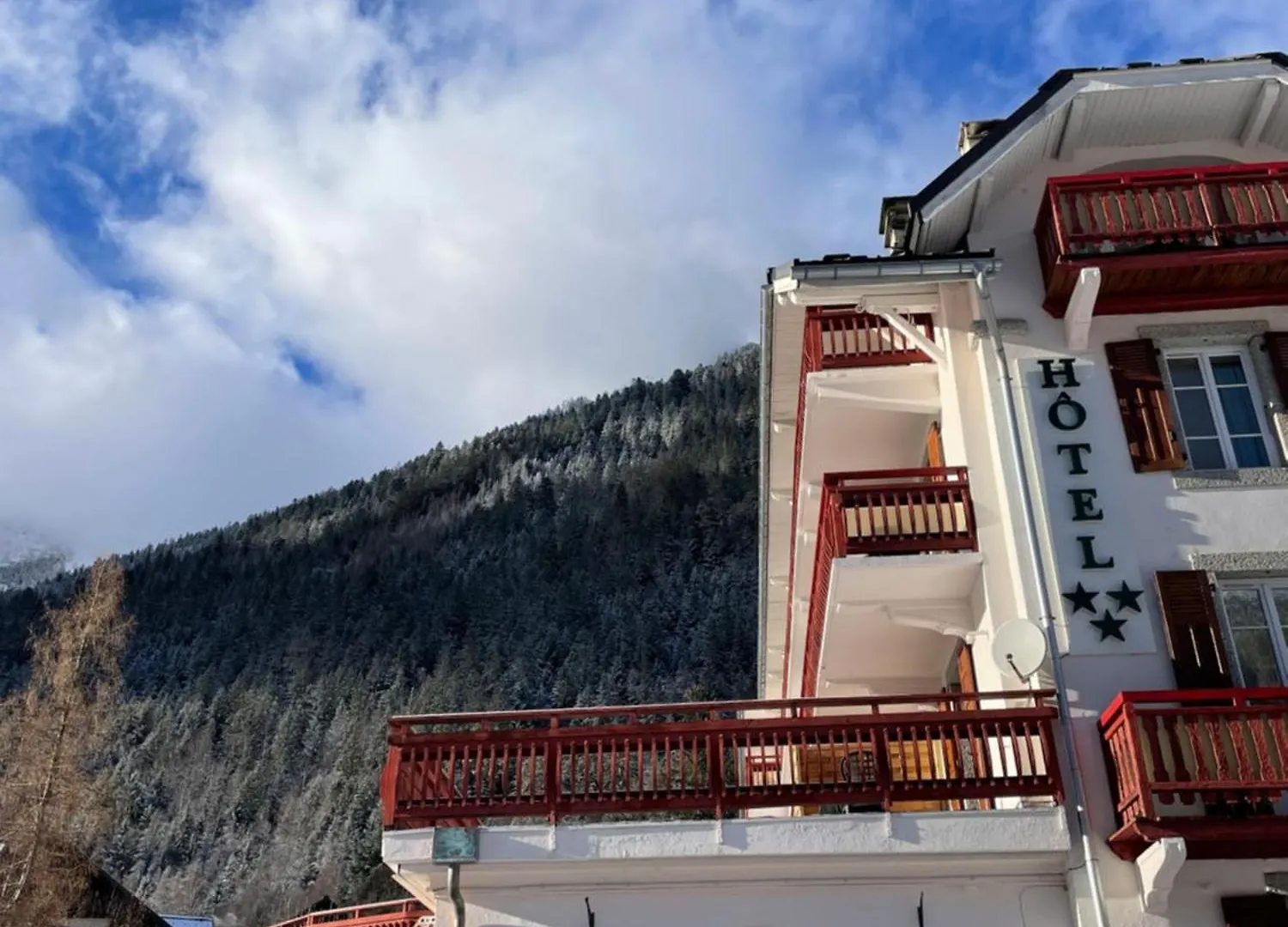 Chalet Hotel La Sapiniere Σαμονί 3*,  Γαλλία