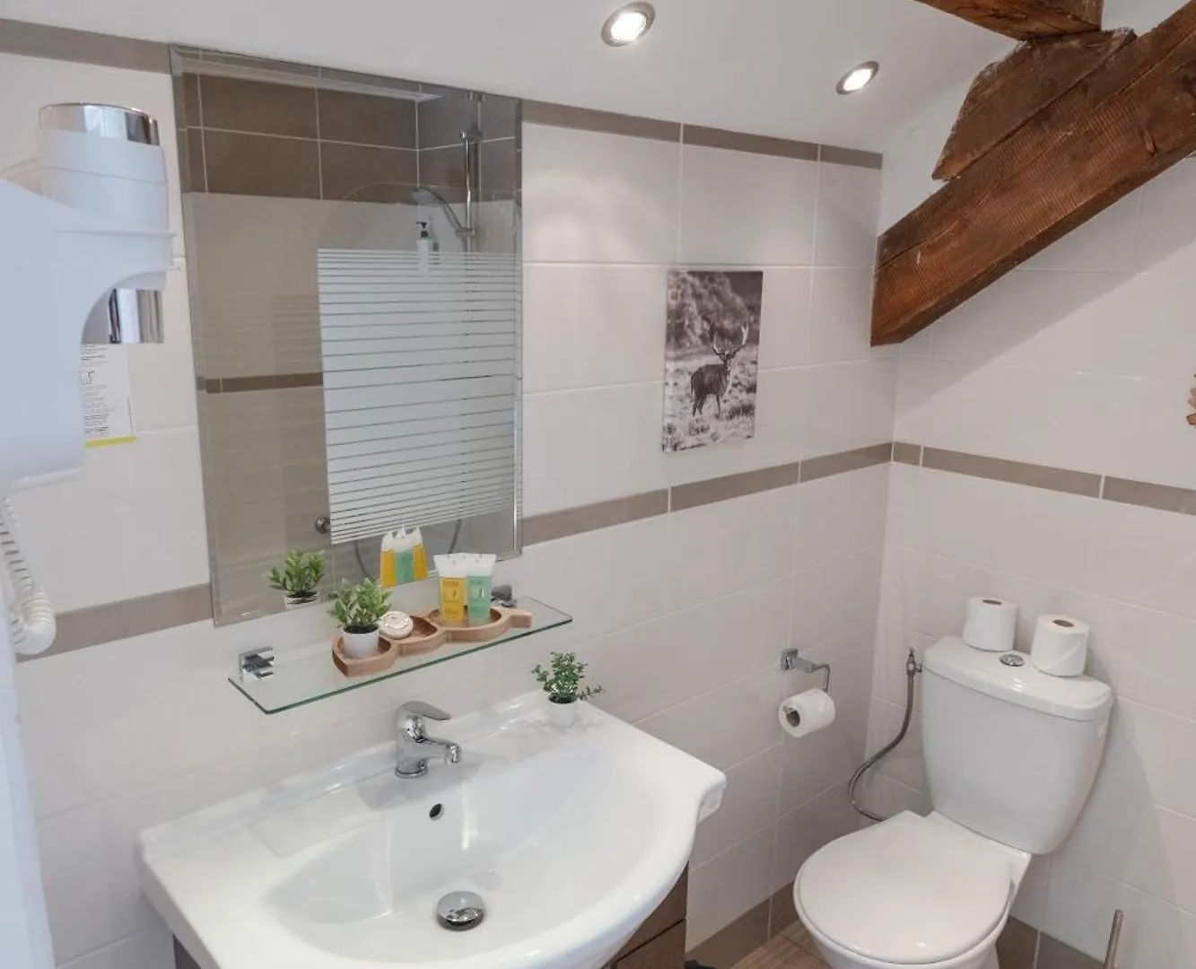 Chalet Hotel La Sapiniere Chamonix
