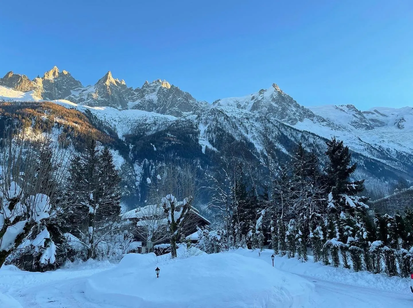 Chalet Hotel La Sapiniere Chamonix 3*,